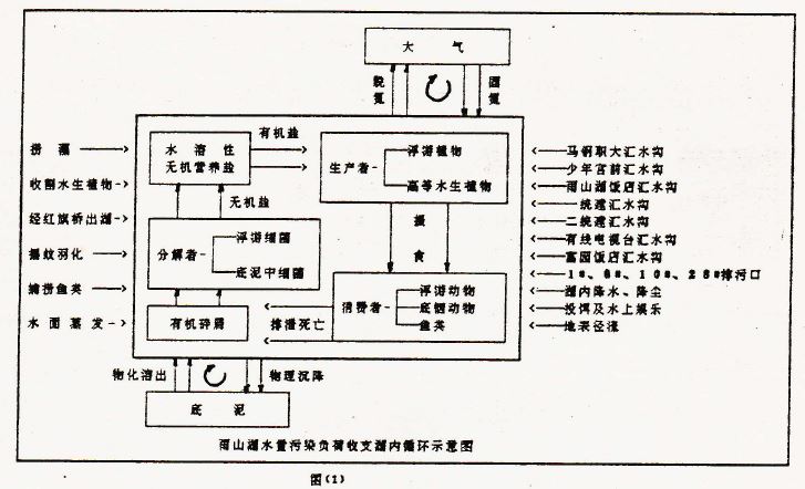 雨山湖水量污染负荷收支湖内循环示意图.JPG